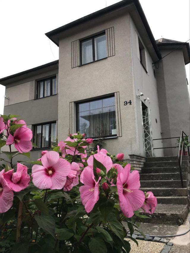 Apartman Hrubá Skála Exterior foto